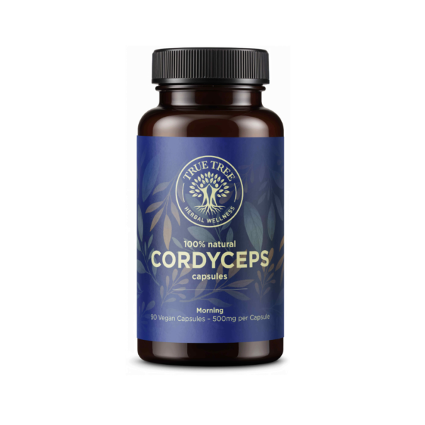 Cordyceps